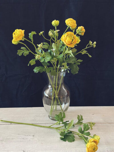 Ranunculus amarillo