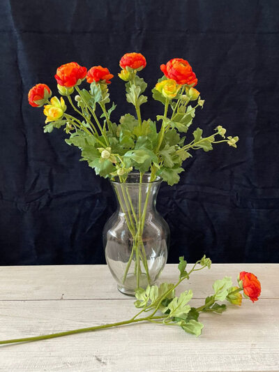 Ranunculus naranja