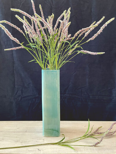 Planta setaria Violeta