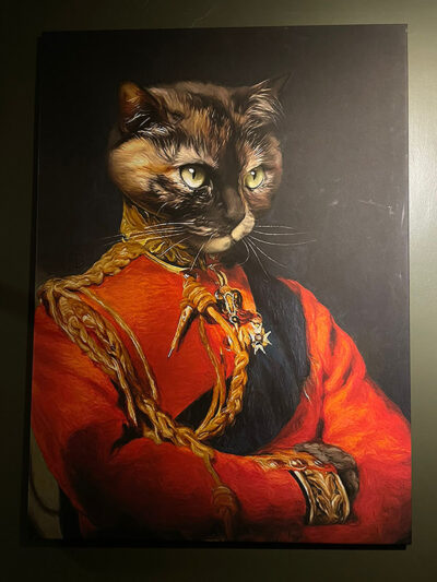 Cuadro gato negro traje militar rojo