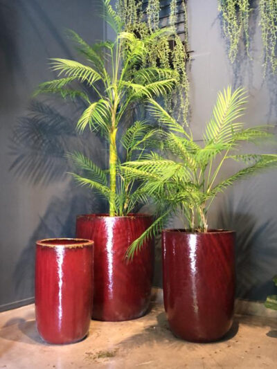 Macetero Conico Rojo L