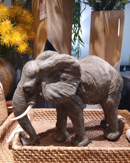 Elefante trompa hacia abajo