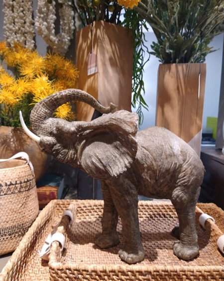 Elefante trompa hacia arriba