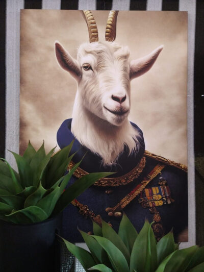 Cuadro cabra