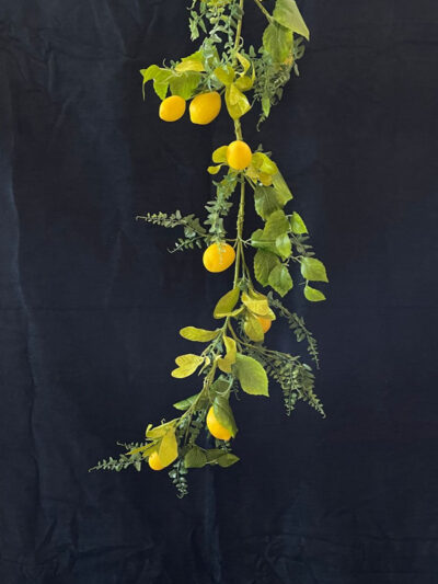 Guirnalda Helechos y Limones