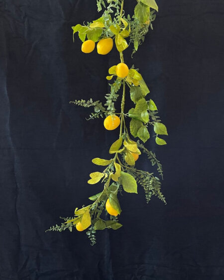 Guirnalda Helechos y Limones