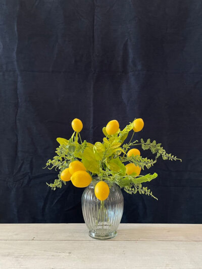 Limones con helecho chico