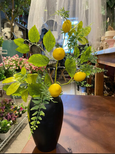 Limones con Helechos grandes