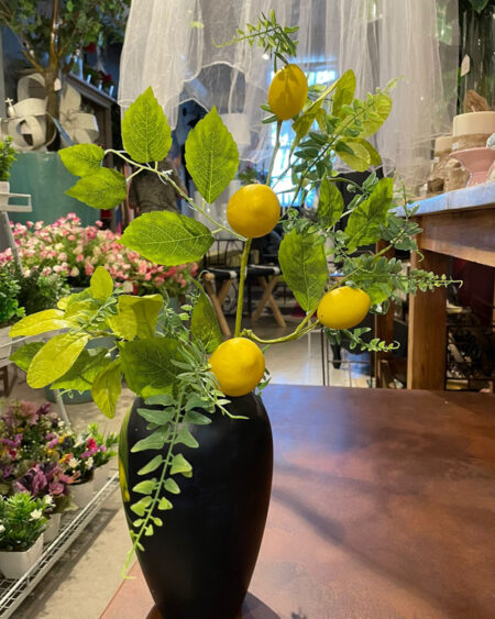 Limones con Helechos grandes