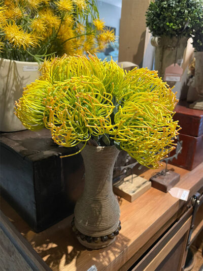 Protea Cojin de Alfiler