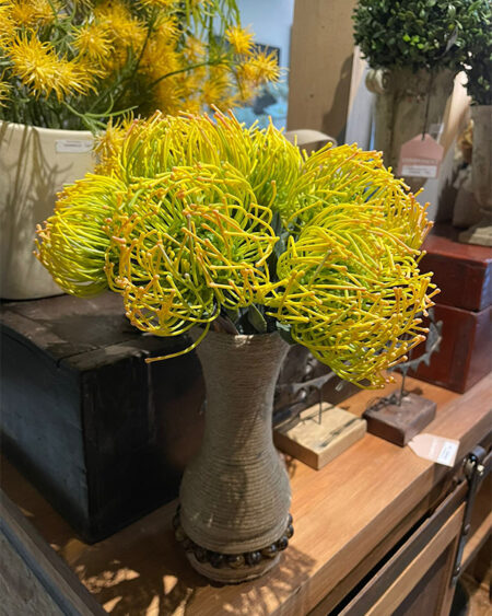 Protea Cojin de Alfiler
