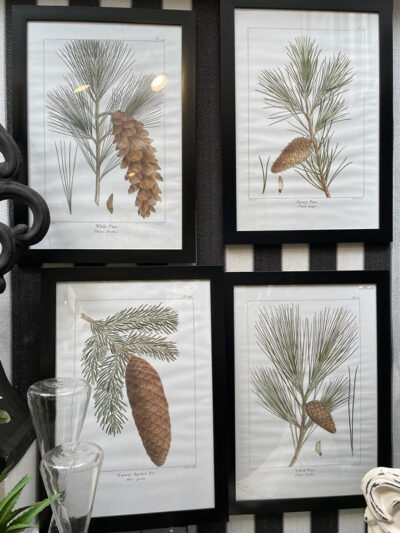 Set x4 cuadros piña