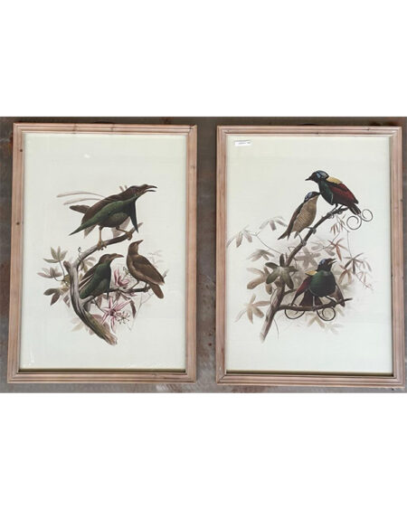 Set Cuadro Pajaro x 2