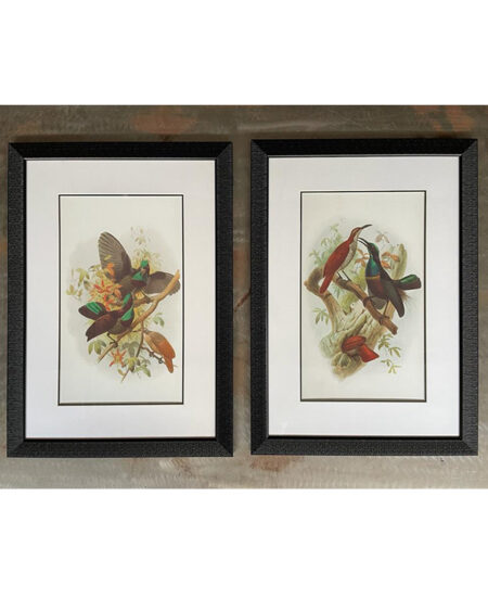 Set x 2 Cuadros pajaro marco negro