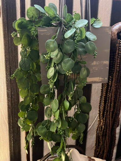 Colgante redondo de eucalipto