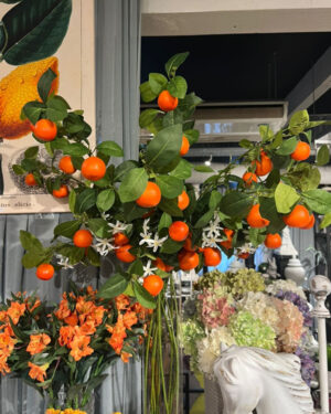 Vara de mandarina