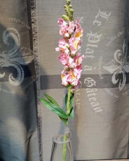 Conejito Rosa