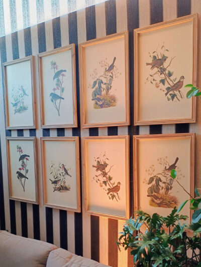 Set Cuadro Pajaro x 4