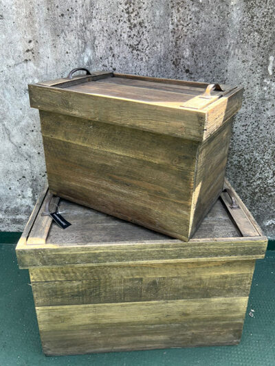 Set x2 baul rectangular