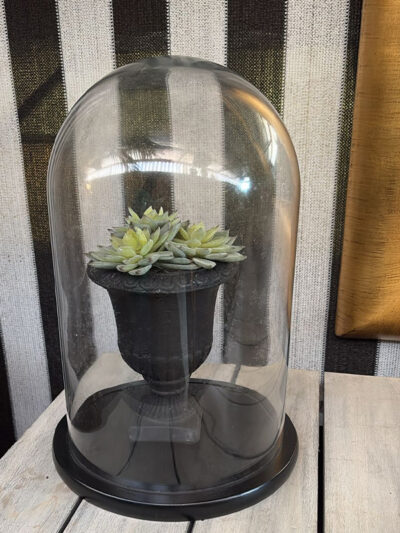 Campana redonda chica base negra