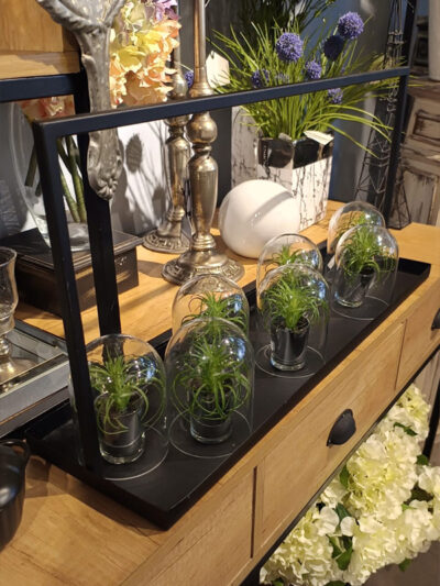 Bandeja rectangular negra portamacetas