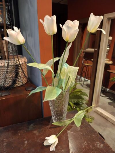 Tulipan holandes blanco