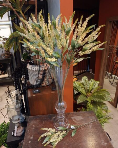 Ramo x5 varas stephanotis