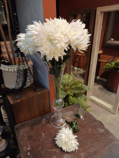 Crisantemo Blanco