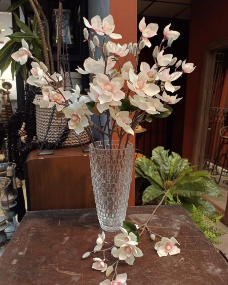 Vara de magnolia blanca