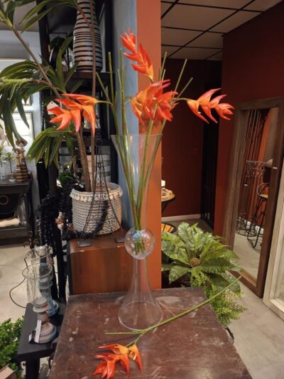 Vara de pico de loro