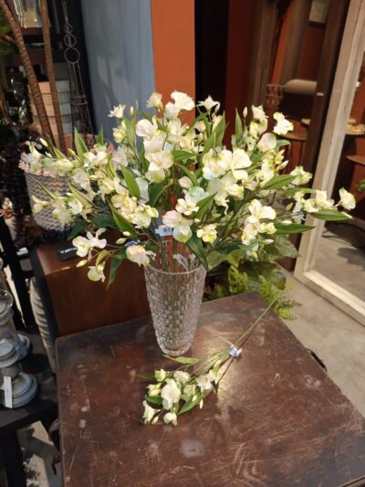 Vara Alstroemeria blanca