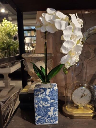 Orquidea en maceta azul grande