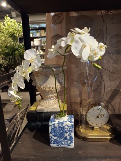 Orquidea en maceta azul chica