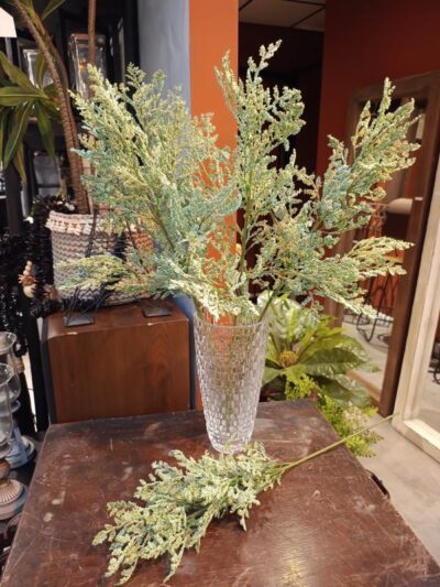 Hierva de prado crema