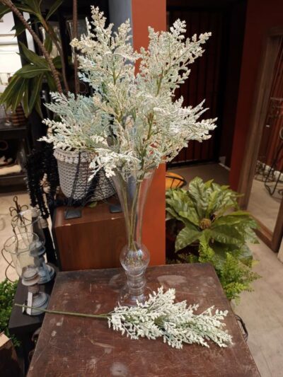 Hierva de prado blanca