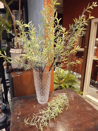 Rama de arrayan verde