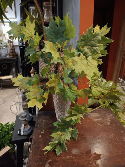 Rama de hoja de arce