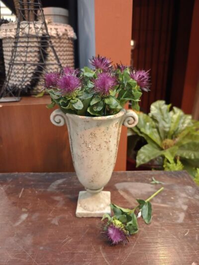 Protea alfiler violeta