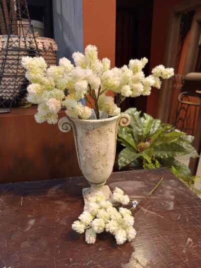 Vara de cardo blanco