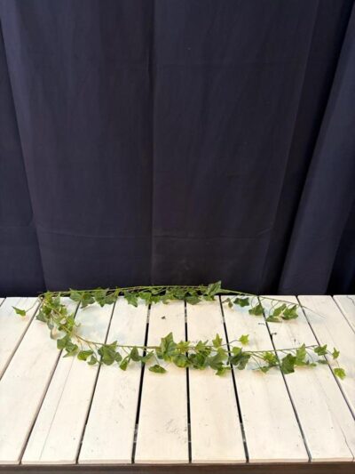 Guirnalada de hiedra