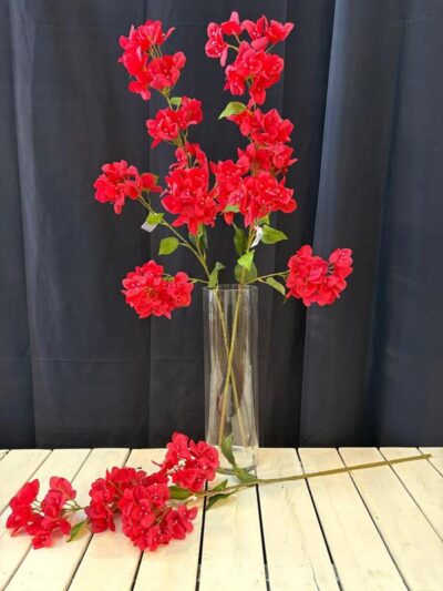 Vara de Bugambilia grande