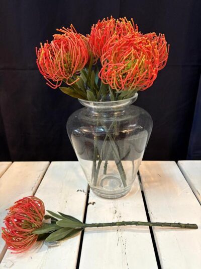 Protea cojin de alfiler naranja