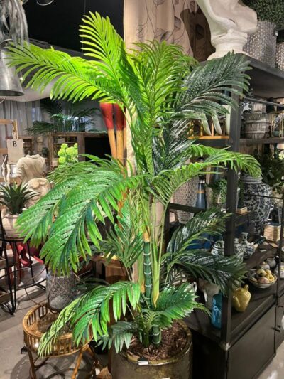 Palmera Hawaiana 26 tallos