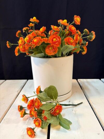 Planta de calendula naranja