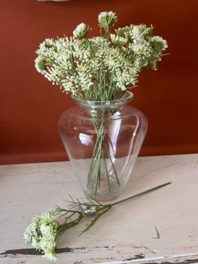 Encaje reina ana chico