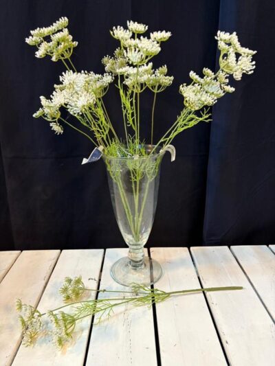 Encaje de reina ana blanco