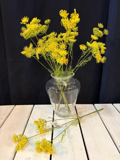 Encaje de reina ana amarillo