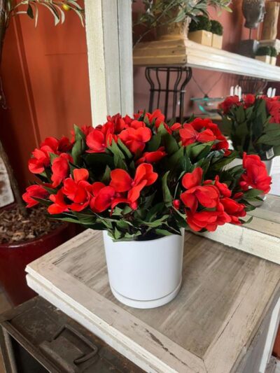 Alegria Del Hogar Roja