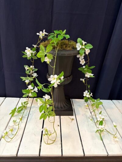 Colgante de gloria de la mañana