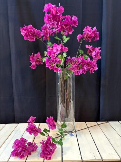 Vara de santa rita fucsia